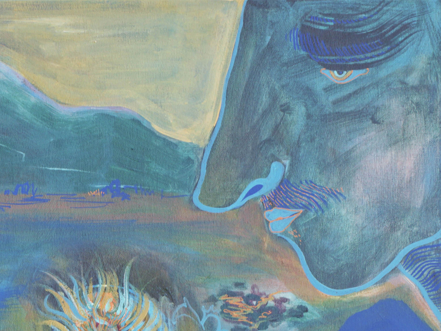 Opera 13